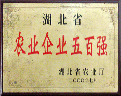 2000農(nóng)業(yè)企業(yè)五百強(qiáng)-.jpg